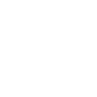 vw_1x